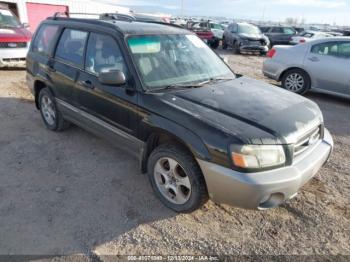  Salvage Subaru Forester