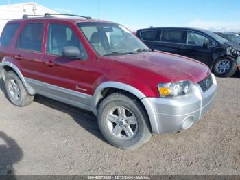  Salvage Ford Escape