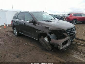  Salvage Mercedes-Benz M-Class