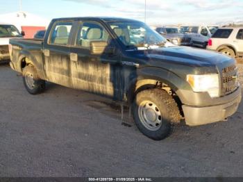  Salvage Ford F-150