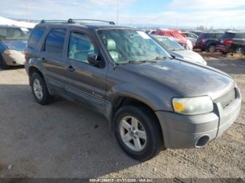  Salvage Ford Escape