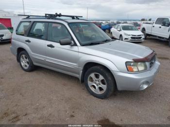  Salvage Subaru Forester
