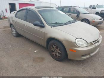  Salvage Dodge Neon