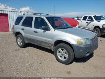  Salvage Ford Escape
