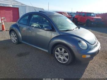  Salvage Volkswagen Beetle