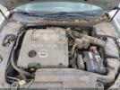 Nissan Maxima 3.5 Se Image 7