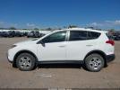 Toyota RAV4 Le Image 10