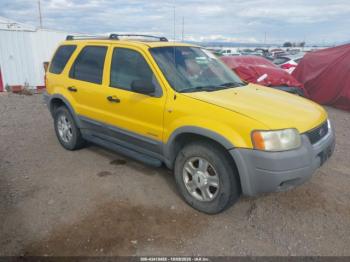 Salvage Ford Escape