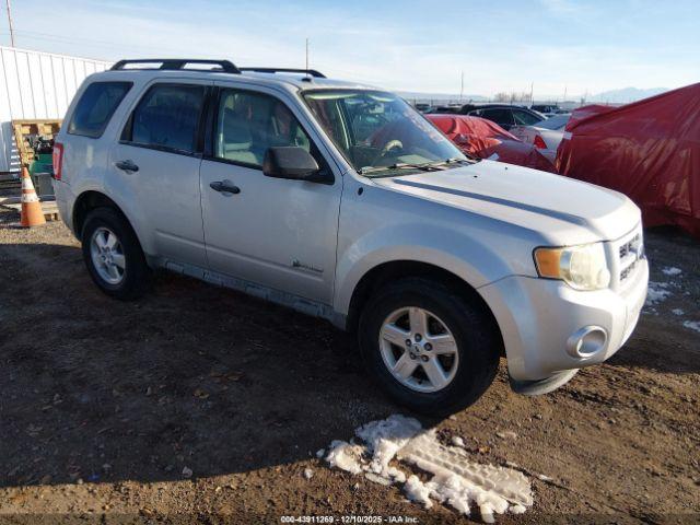  Salvage Ford Escape