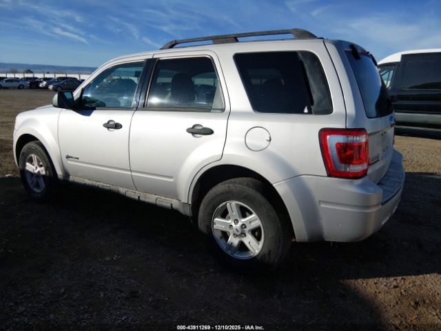 Ford Escape Limited Image 7