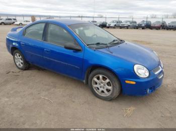  Salvage Dodge Neon